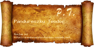 Pandureszku Teodor névjegykártya